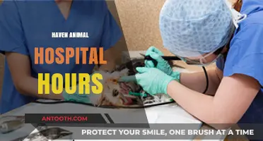 Haven Animal Hospital Hours: Your Guide to Pet Care Availability