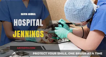 Haven Animal Hospital Jennings: Compassionate Care for Your Furry Friends