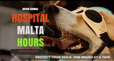Haven Animal Hospital Malta: Operating Hours and Services Guide
