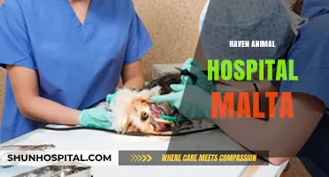 Haven Animal Hospital Malta: Compassionate Care for Your Pets
