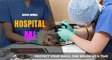 Haven Animal Hospital MI: Compassionate Care for Your Furry Friends