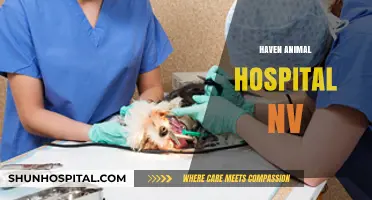 Haven Animal Hospital NV: Compassionate Care for Your Pets