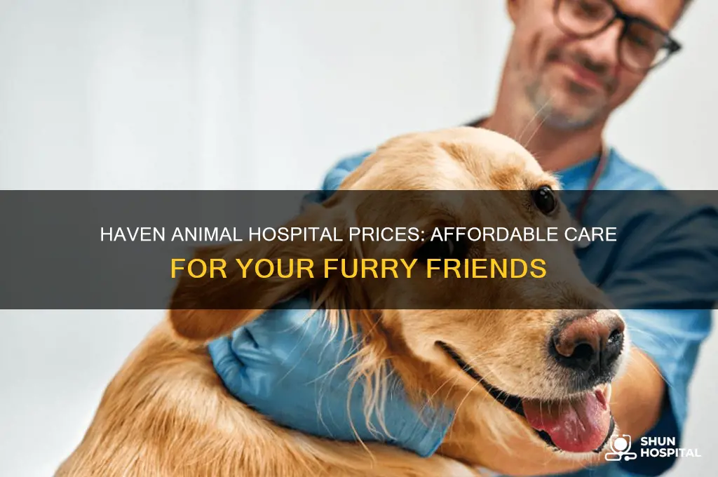 haven animal hospital prices