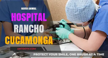 Haven Animal Hospital Rancho Cucamonga: Compassionate Care for Your Pets
