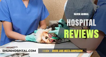 Haven Animal Hospital Reviews: Honest Feedback from Pet Owners
