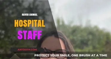 Meet the Compassionate Team at Haven Animal Hospital: Your Pet's Heroes