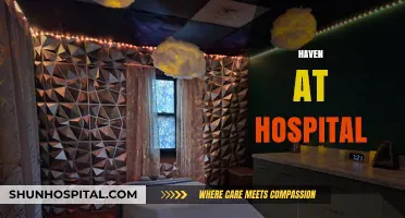 Creating a Haven at Hospital: Comfort and Care in Healing Spaces