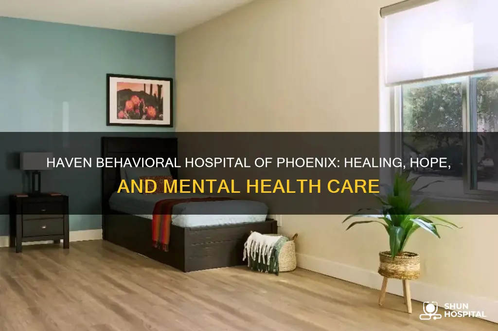 haven behavioarl hospital of phoenix