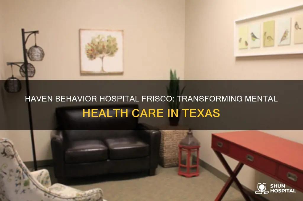 haven behavior hospital frisco