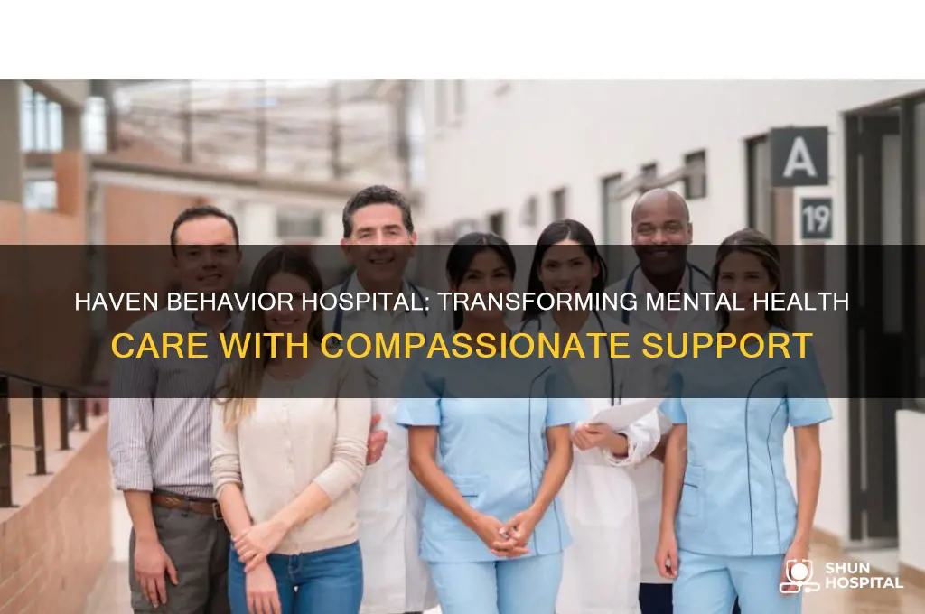 haven behavior hospital