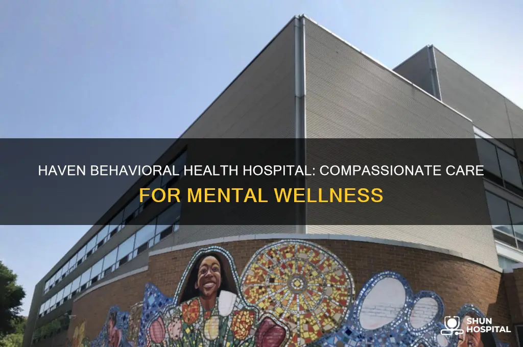 haven behavioral health hospital