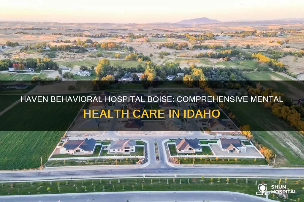haven behavioral hospital boise