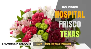 Haven Behavioral Hospital Frisco Texas: Comprehensive Mental Health Care Services