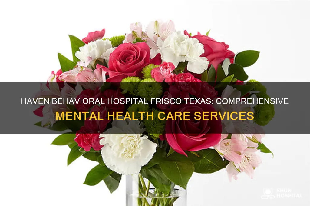 haven behavioral hospital frisco texas