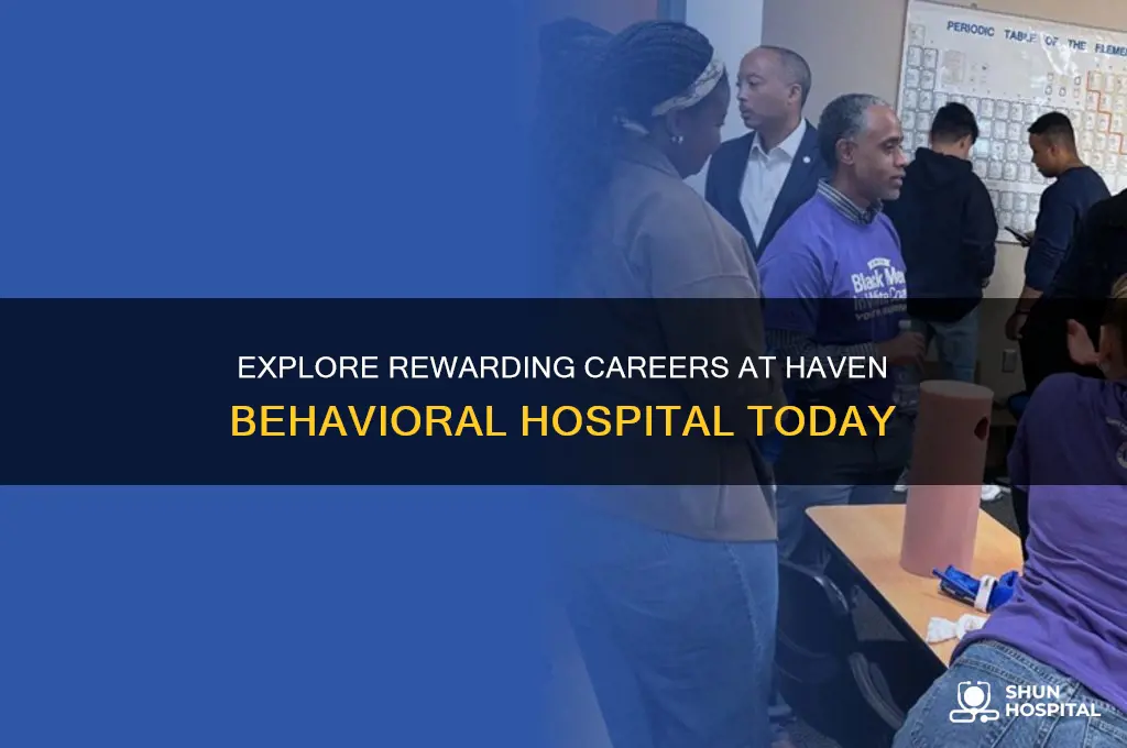 haven behavioral hospital jobs