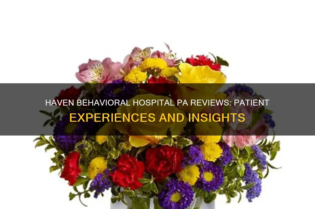 haven behavioral hospital pa reviews