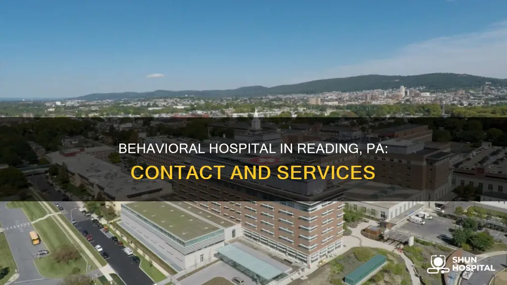 haven behavioral hospital reading pa fax number