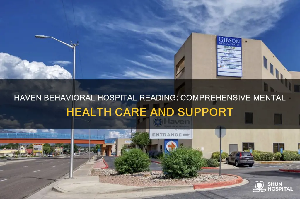 haven behavioral hospital reading
