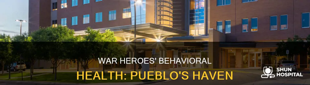 haven behavioral war heroes hospital pueblo colorado