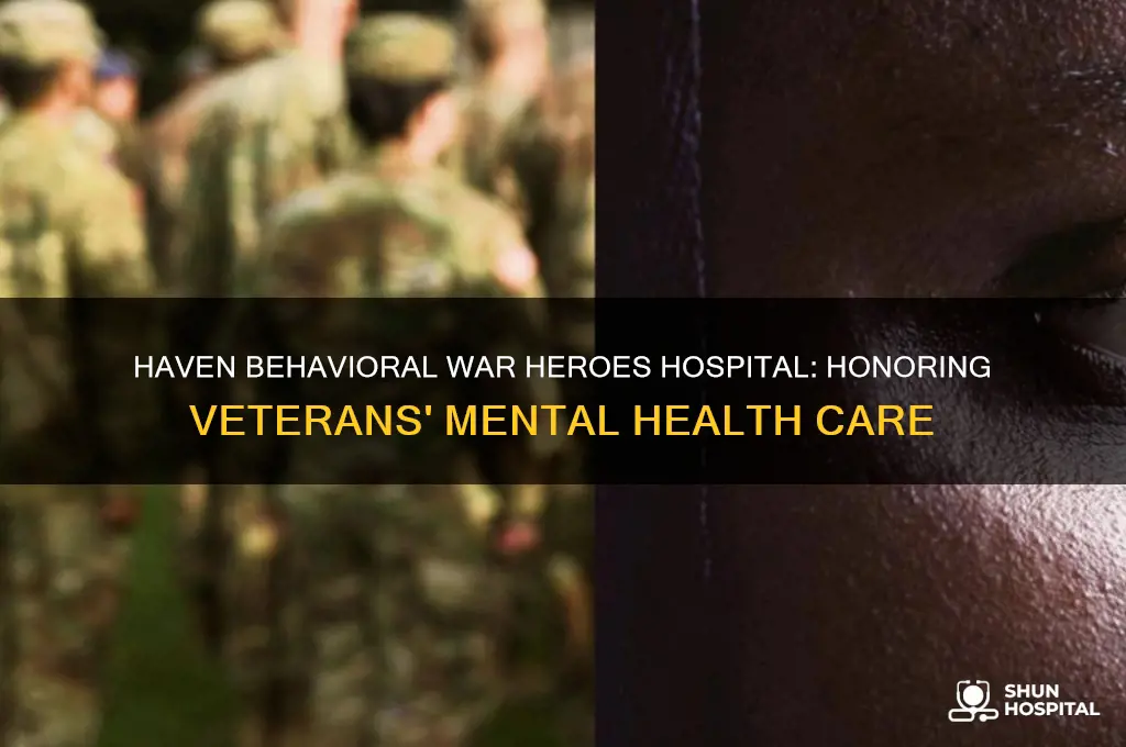 haven behavioral war heroes hospital