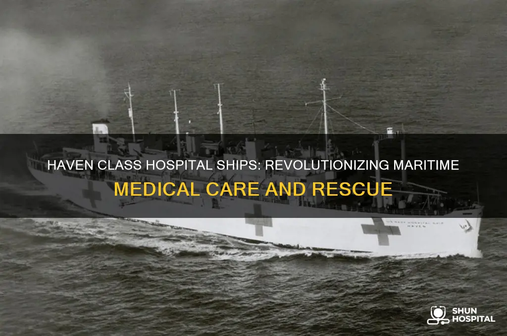 haven class hospital ship