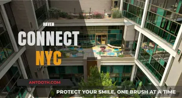 Discover Haven Connect NYC: Your Urban Wellness and Community Hub