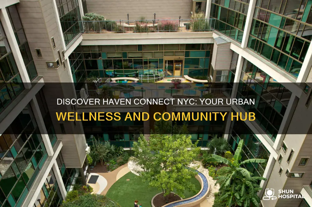 haven connect nyc