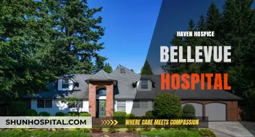 Haven Hospice at Bellevue Hospital: Compassionate End-of-Life Care Explained