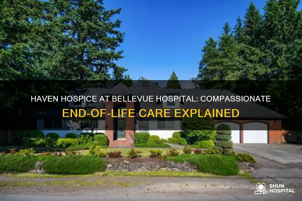 haven hospice bellevue hospital