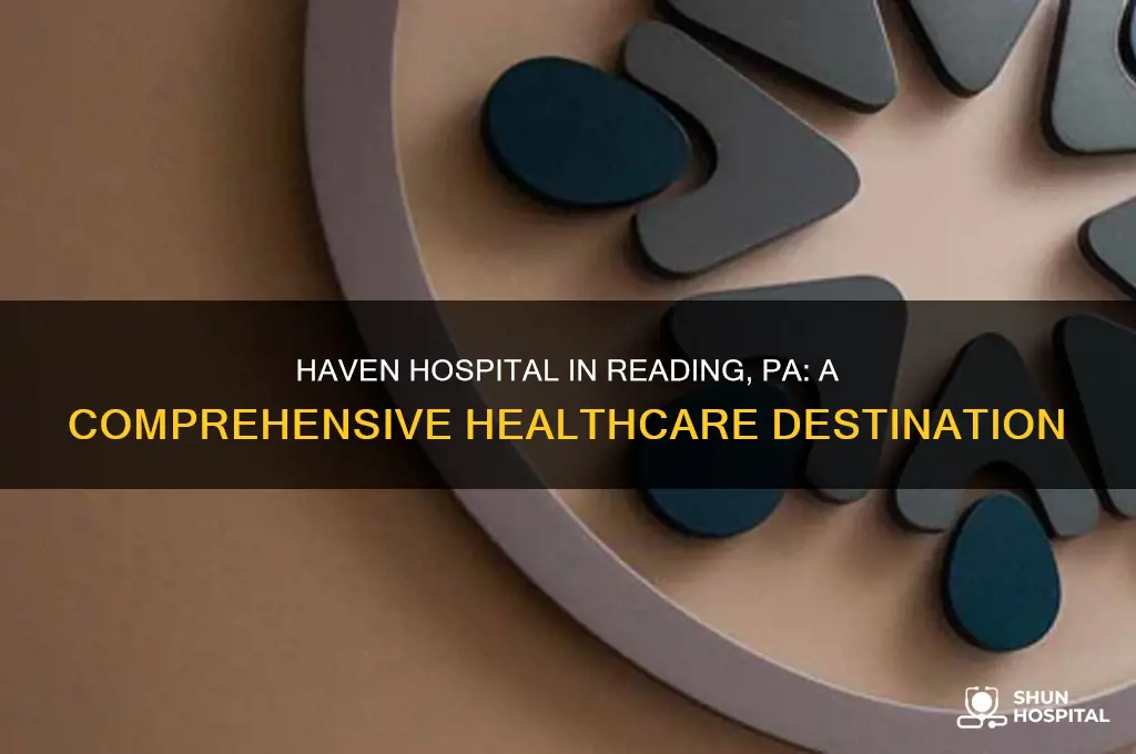 haven hospital in reading pa