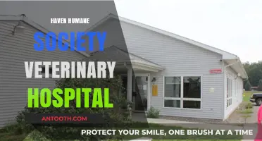 Haven Humane Society Veterinary Hospital: Compassionate Care for Pets in Need