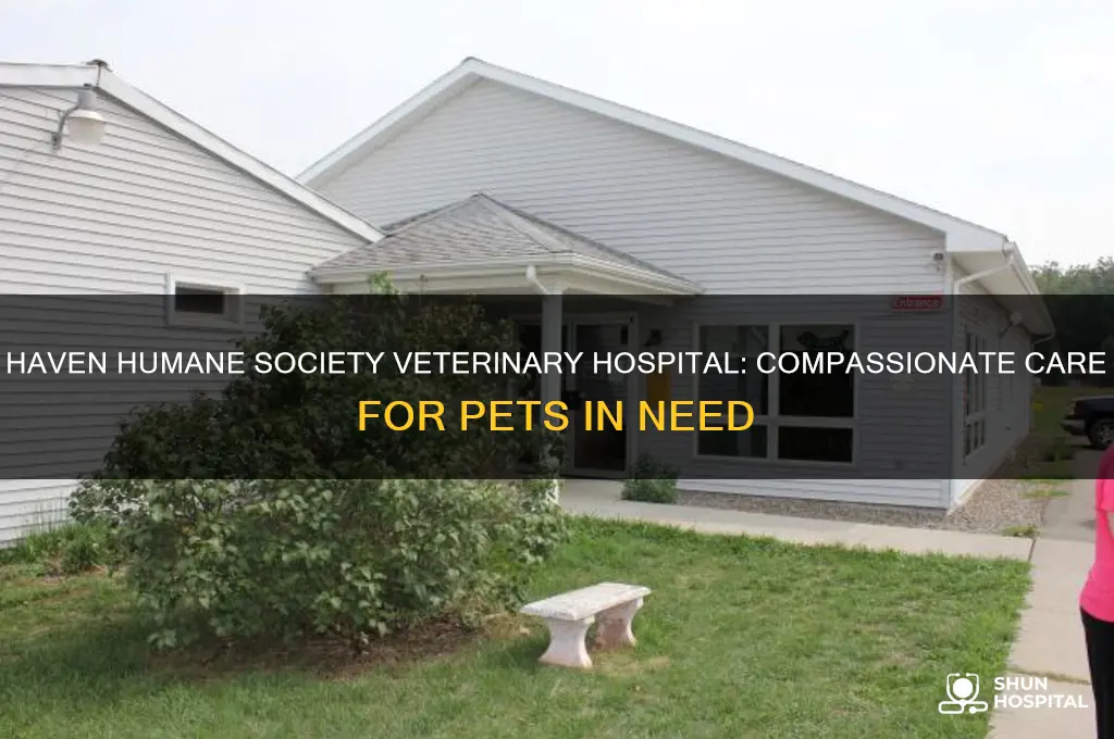 haven humane society veterinary hospital