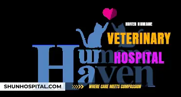 Haven Humane Veterinary Hospital: Compassionate Care for Your Beloved Pets
