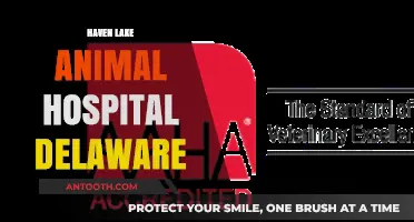 Haven Lake Animal Hospital: Delaware's Trusted Pet Care Experts