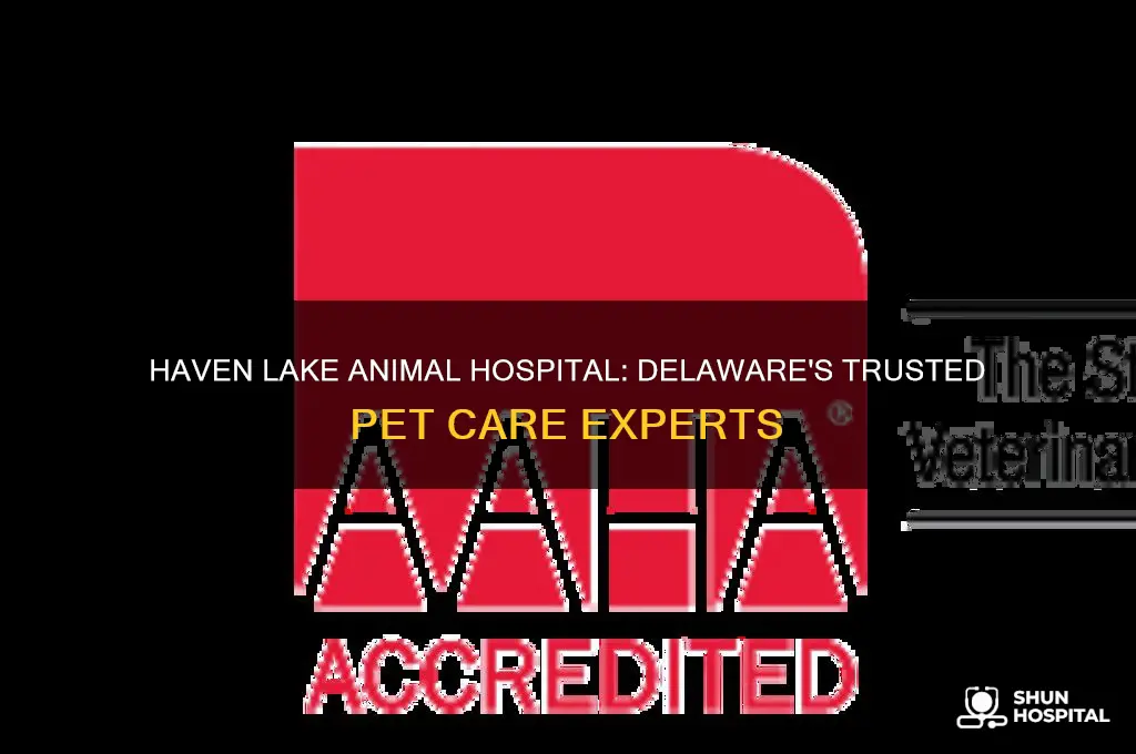 haven lake animal hospital delaware