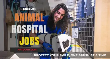 Join Haven Lake Animal Hospital: Explore Exciting Veterinary Career Opportunities