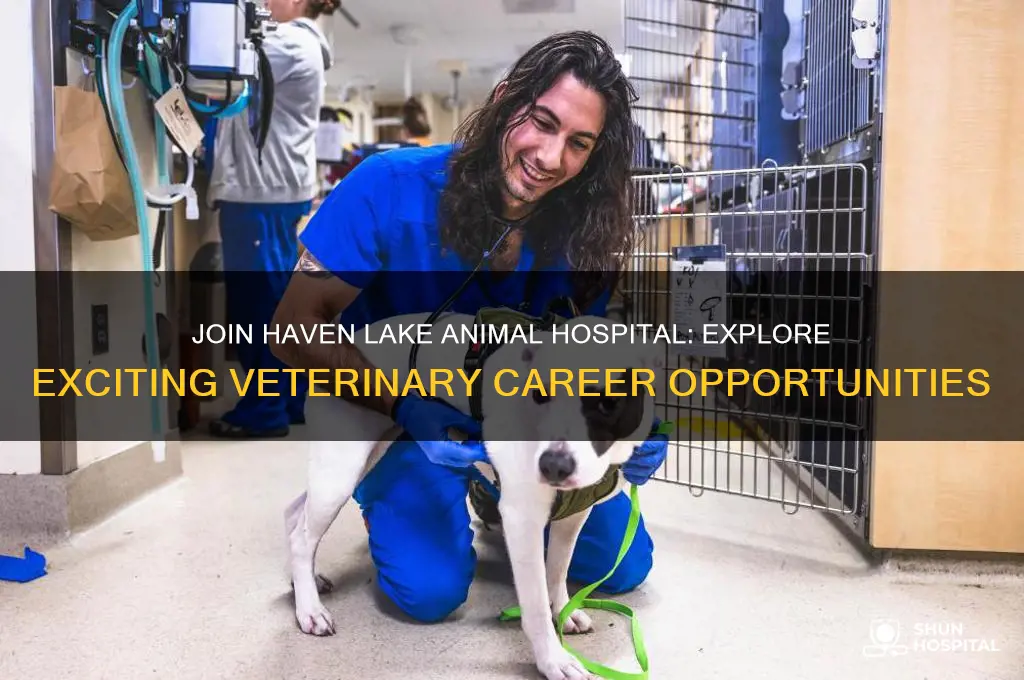 haven lake animal hospital jobs