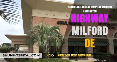 Haven Lake Animal Hospital: Milford's Trusted Pet Care on Harrington Highway