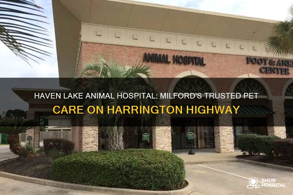 haven lake animal hospital milford harrington highway milford de