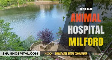 Haven Lake Animal Hospital Milford: Compassionate Care for Your Pets