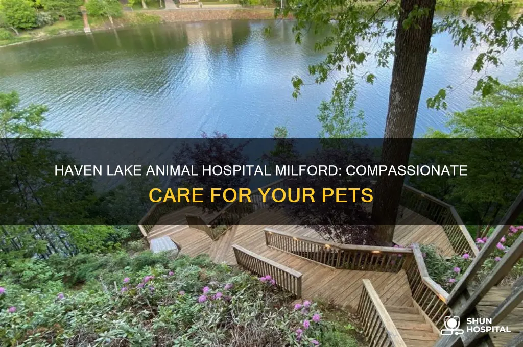 haven lake animal hospital milford