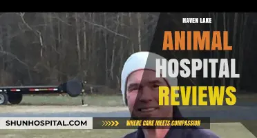 Haven Lake Animal Hospital Reviews: Pet Care Excellence Unveiled