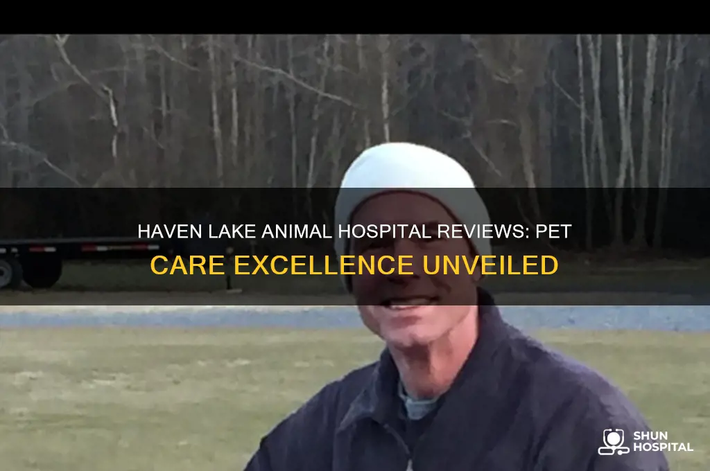 haven lake animal hospital reviews