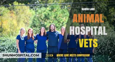 Haven Lake Animal Hospital: Expert Vets Caring for Your Pets