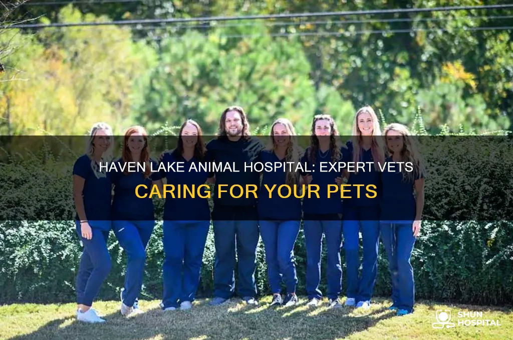 haven lake animal hospital vets