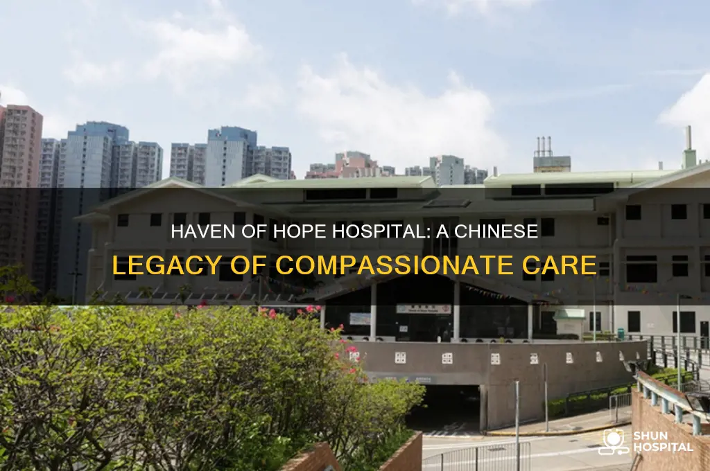 haven of hope hospital chinese