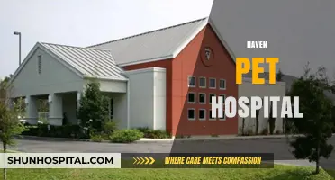 Haven Pet Hospital: Compassionate Care for Your Furry Family Members