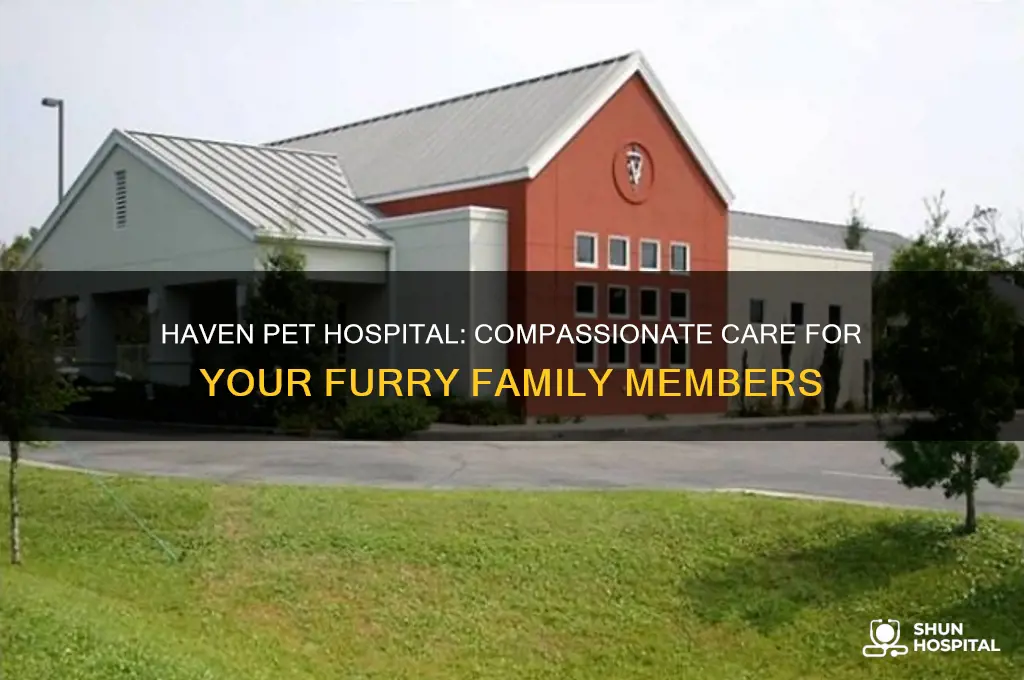 haven pet hospital