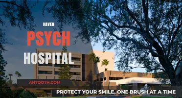 Haven Psych Hospital: Unveiling Mental Health Care and Recovery Insights