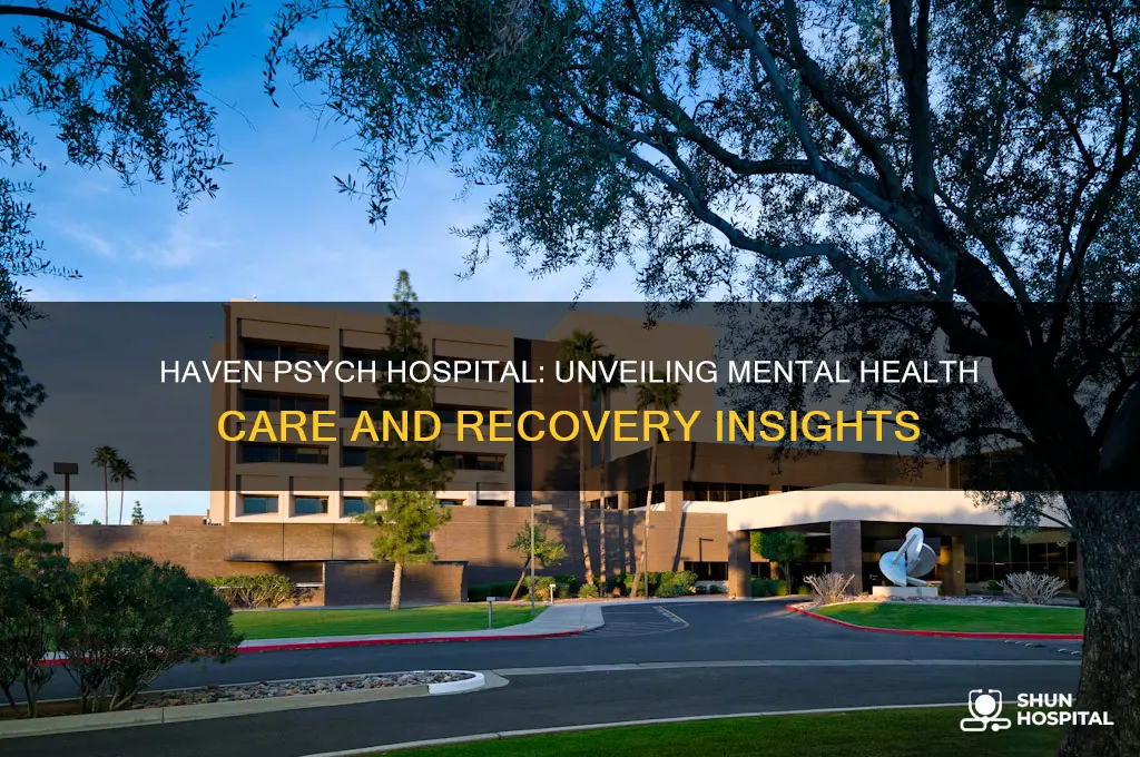 haven psych hospital
